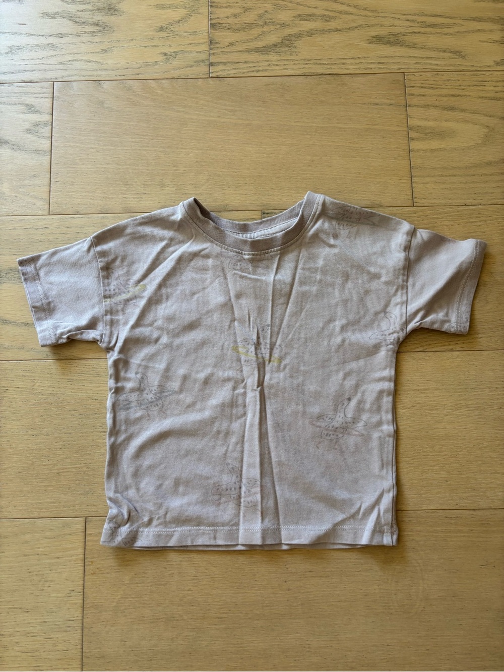 Pehr kid purple bird print tee, size 3T